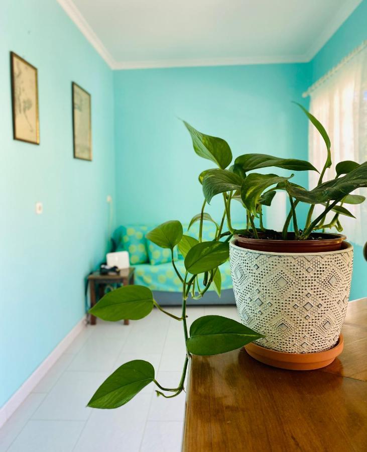 Camelia Studios Geni  Ngoại thất bức ảnh